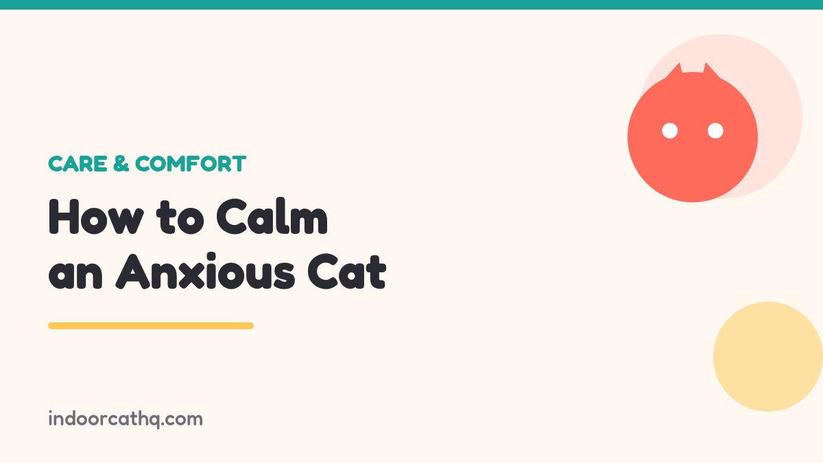 Indoor Cat HQ guide hero for How to Calm an Anxious Cat, covering how to calm an anxious cat for indoor cats