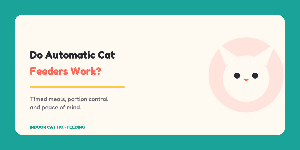 Indoor Cat HQ guide hero for Do Automatic Cat Feeders Work, covering do automatic cat feeders work for indoor cats