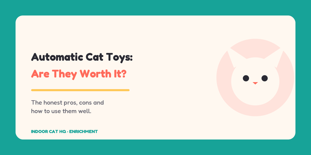 Indoor Cat HQ guide hero for Automatic Cat Toys: Are They Worth It, covering are automatic cat toys worth it for indoor cats