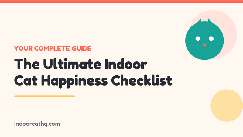 Indoor Cat HQ guide hero for The Ultimate Indoor Cat Happiness Checklist, covering indoor cat happiness checklist for indoor cats