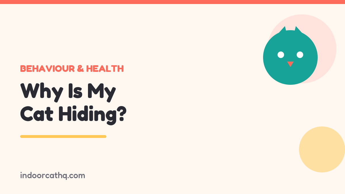 Indoor Cat HQ guide hero for Why Is My Cat Hiding, covering why is my cat hiding for indoor cats