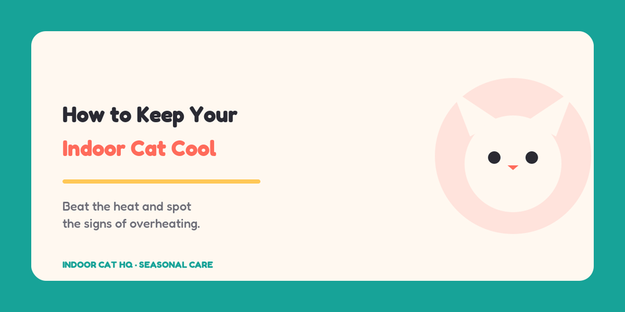 Indoor Cat HQ guide hero for How to Keep Your Indoor Cat Cool in Hot Weather, covering how to keep your cat cool for indoor cats