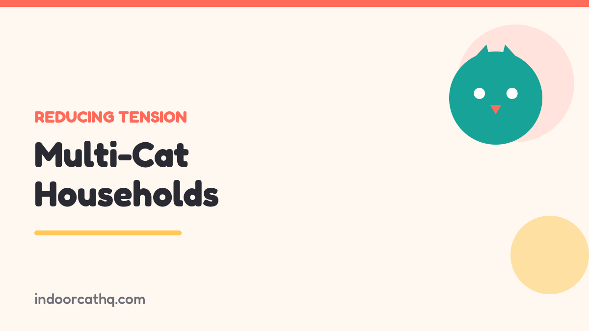 Indoor Cat HQ guide hero for Multi-Cat Households: How to Reduce Tension, covering multi-cat household tension for indoor cats
