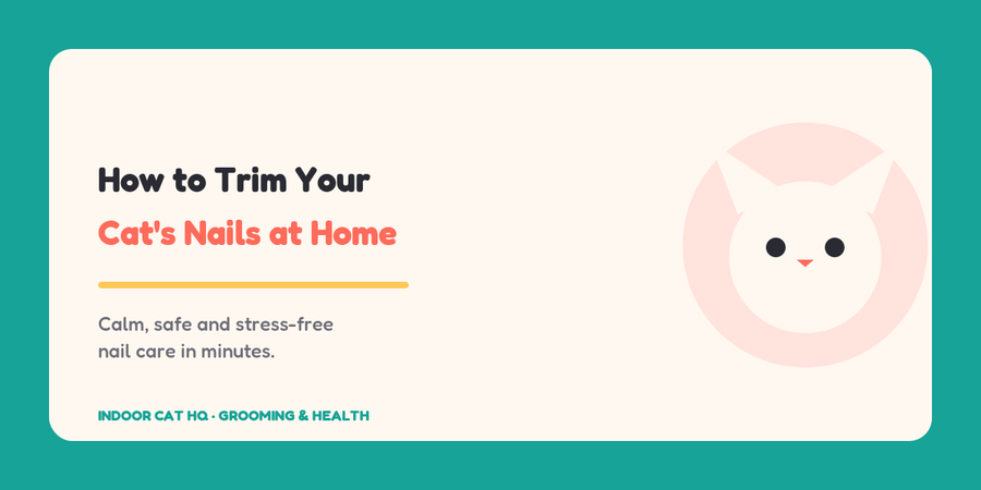 Indoor Cat HQ guide hero for How to Trim Your Cat's Nails at Home, covering how to trim cat nails for indoor cats
