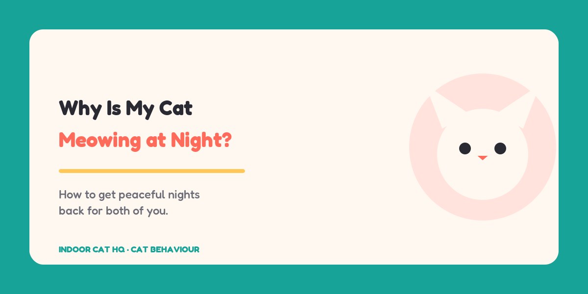 Indoor Cat HQ guide hero for Why Is My Cat Meowing at Night, covering why is my cat meowing at night for indoor cats