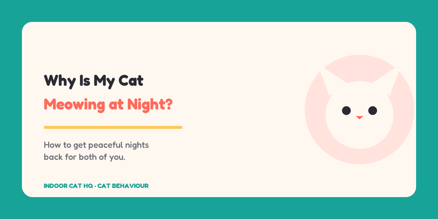 Indoor Cat HQ guide hero for Why Is My Cat Meowing at Night, covering why is my cat meowing at night for indoor cats