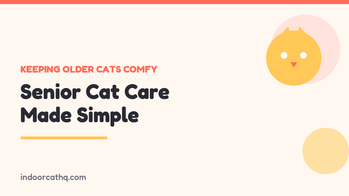 Indoor Cat HQ guide hero for Senior Cat Care: Keeping Older Cats Comfortable, covering senior cat care for indoor cats
