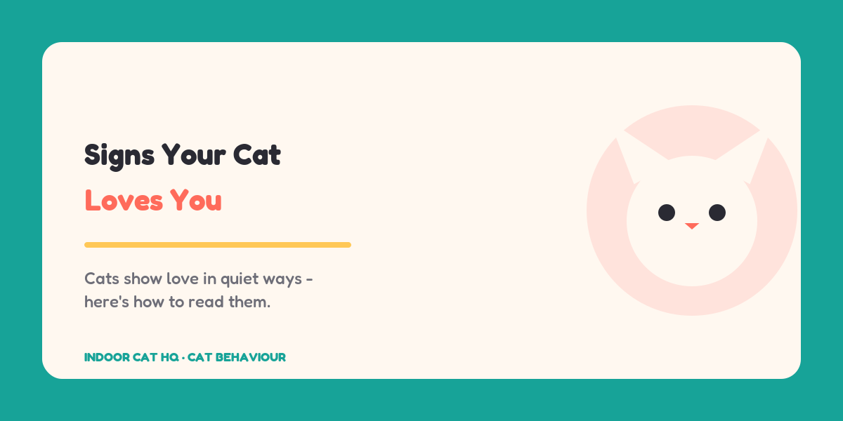 Indoor Cat HQ guide hero for 10 Signs Your Cat Loves You, covering signs your cat loves you for indoor cats