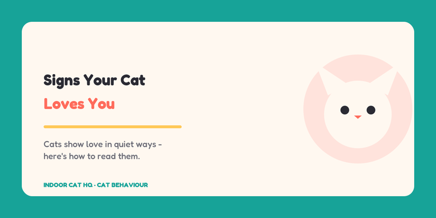 Indoor Cat HQ guide hero for 10 Signs Your Cat Loves You, covering signs your cat loves you for indoor cats