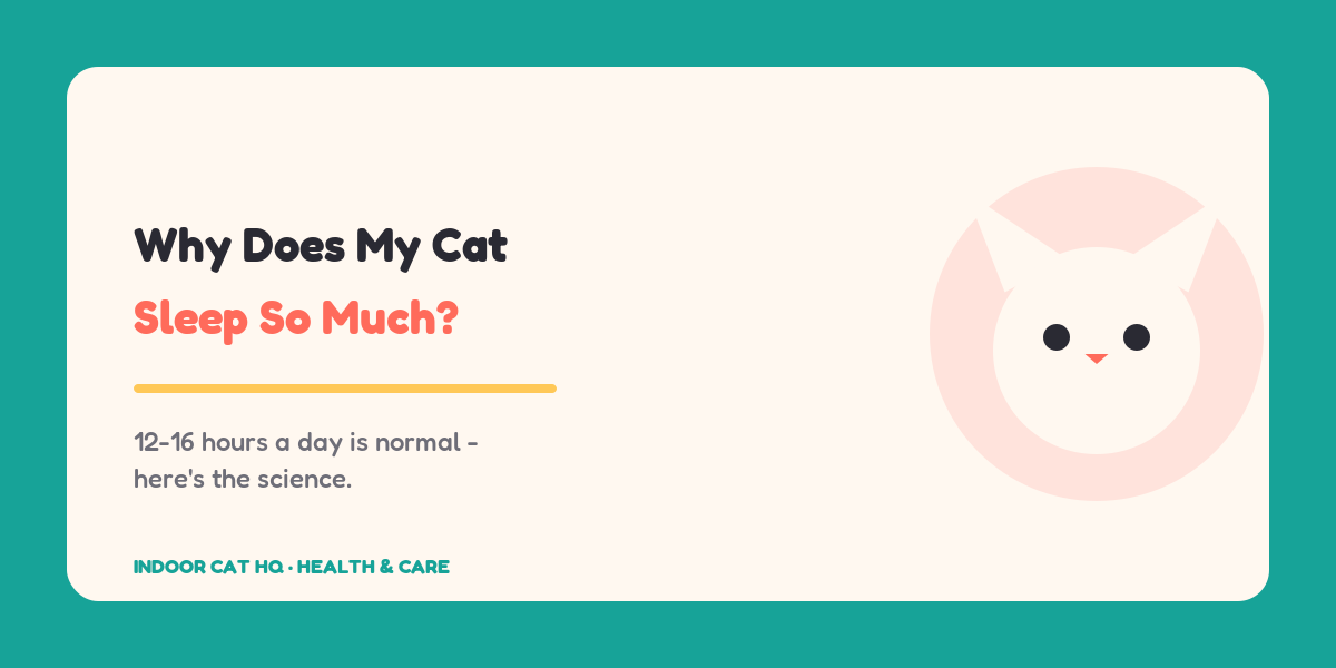 Indoor Cat HQ guide hero for Why Does My Cat Sleep So Much, covering why does my cat sleep so much for indoor cats