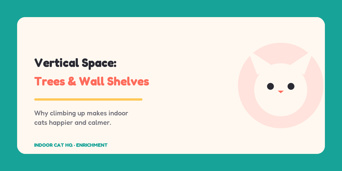 Indoor Cat HQ guide hero for Vertical Space: Best Cat Trees & Wall Shelves for Indoor Cats, covering cat trees and wall shelves for indoor cats
