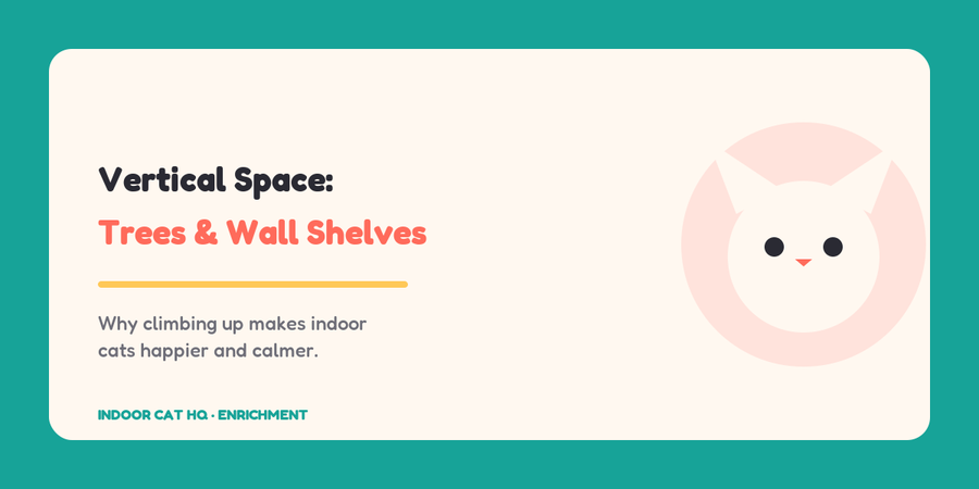 Indoor Cat HQ guide hero for Vertical Space: Best Cat Trees & Wall Shelves for Indoor Cats, covering cat trees and wall shelves for indoor cats