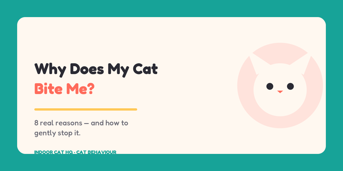 Why does my cat bite me — Indoor Cat HQ guide banner