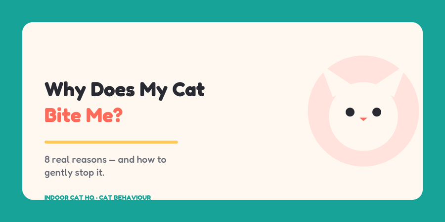 Why does my cat bite me — Indoor Cat HQ guide banner