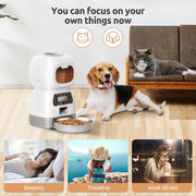 Automatic cat feeder control options comparison