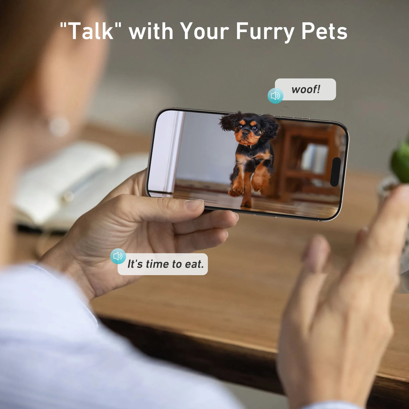 Single bowl 8L camera cat feeder variant