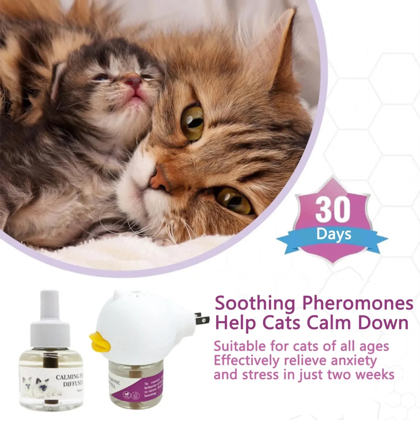 Pheromone diffuser unit and refill detail