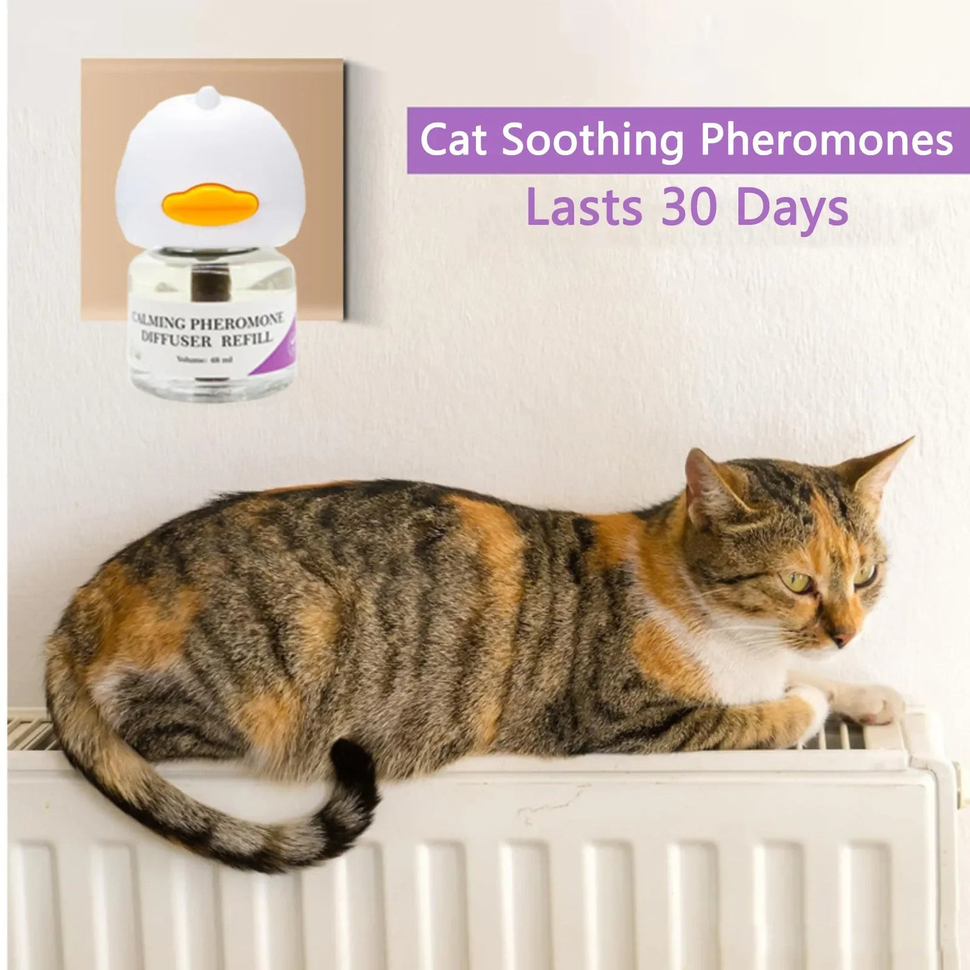 Calming pheromone starter kit contents