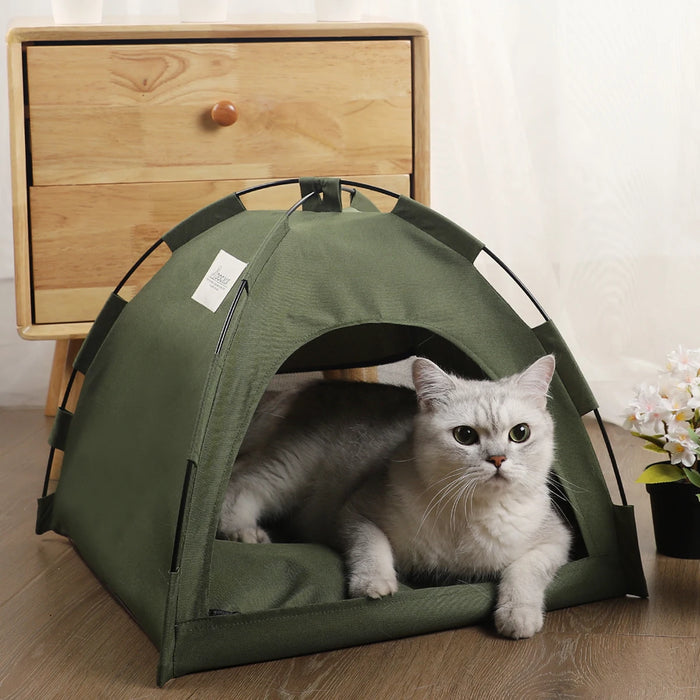Clamshell cat tent bed with enclosed cozy nap shape
