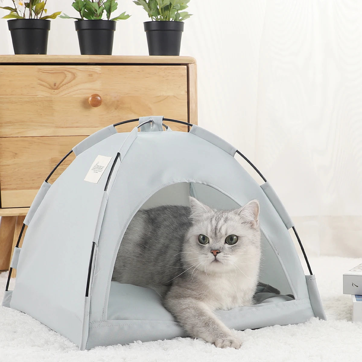 Fruit green clamshell cat bed