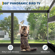 Metal frame cat window box mounted for panoramic viewing
