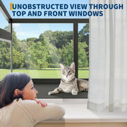 Cat window box clear side panels showing open sightlines