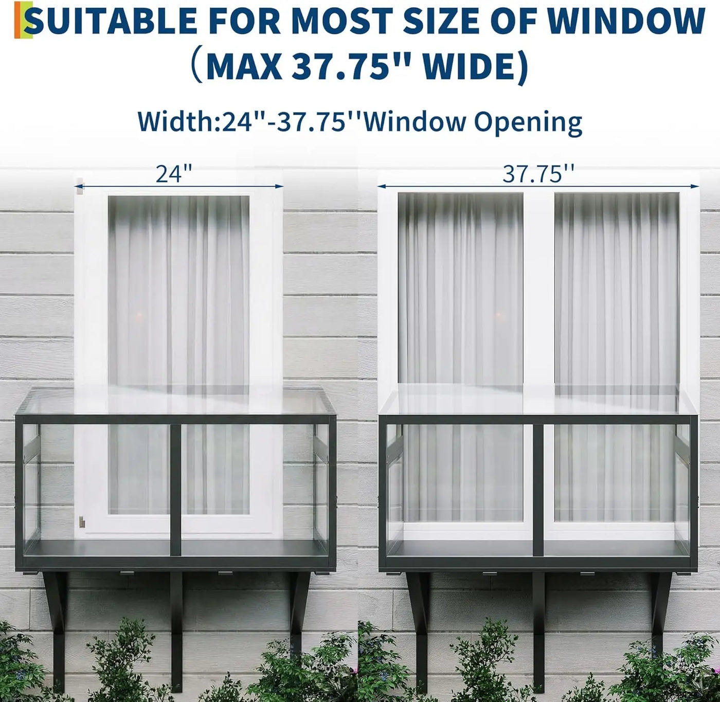 Clear cat window box interior lounging area