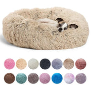Round plush donut cat bed with raised rim for curl-up sleep