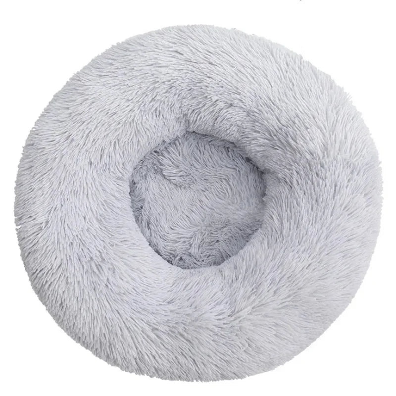 Cat curled in round donut bed showing rim support