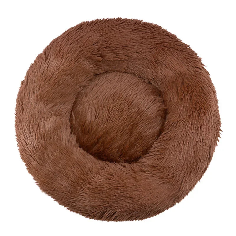 Cat bed donut shape overhead view