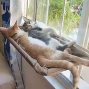 Suction cup cat window bed mounted on glass for sunny lounging