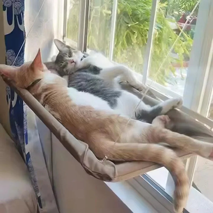 Suction cup cat window bed mounted on glass for sunny lounging