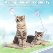 Cat window bed in light cyan colour option