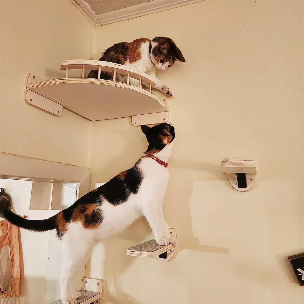 Cat face shelf wall mounted piece