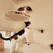Cat face shelf wall mounted piece