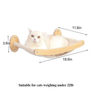 Cat climbing wall route built from mix and match pieces