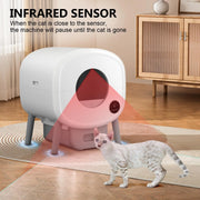 White smart cat litter box interior view