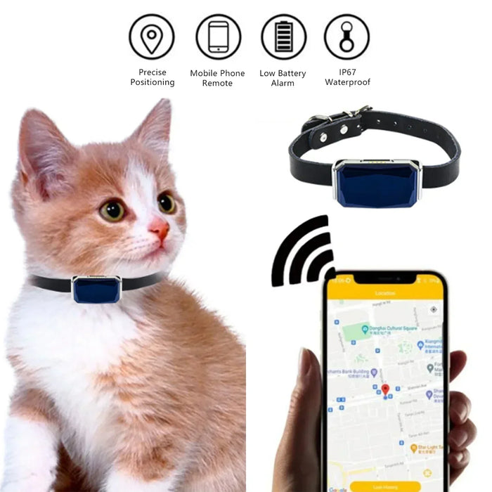 Mini waterproof cat tracker collar in blue, lightweight build
