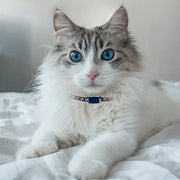Waterproof cat tracker collar fit view