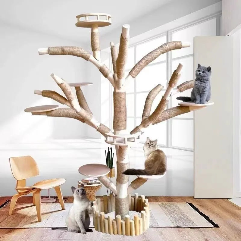 Cat climbing platforms on nature tree tower