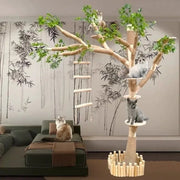Nature tree cat habitat in room setting