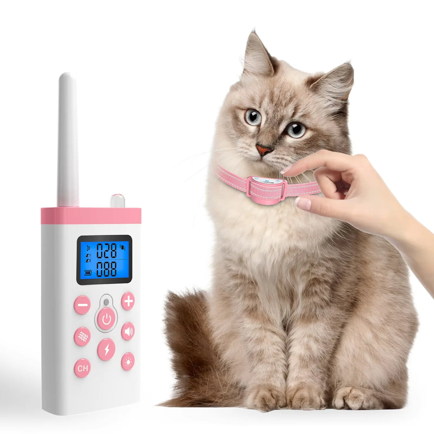 PaiPaitek cat training collar product view