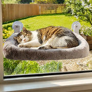Metal frame cat window perch folded flat against window