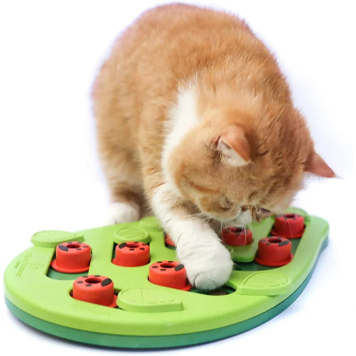 Cat treat puzzle scratch board, two-in-one enrichment toy