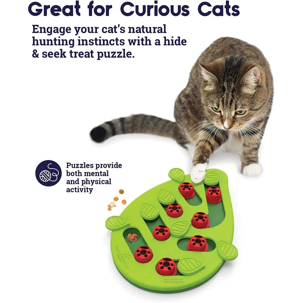 Horizontal cat scratch board with treat hiding slots