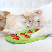 Treat puzzle scratch board for slow feeding and play