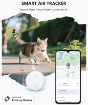 Cat tracker tag with blue collar combination