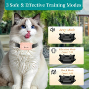 D80M training collar in pink option