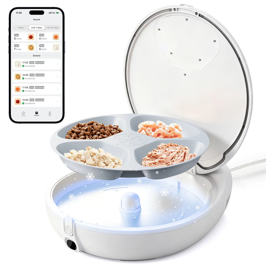 Robotail Refrigerated Wet Food Cat Feeder