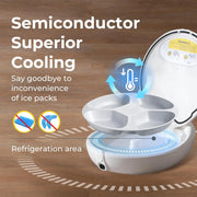 Wet food automatic feeder serving tray detail